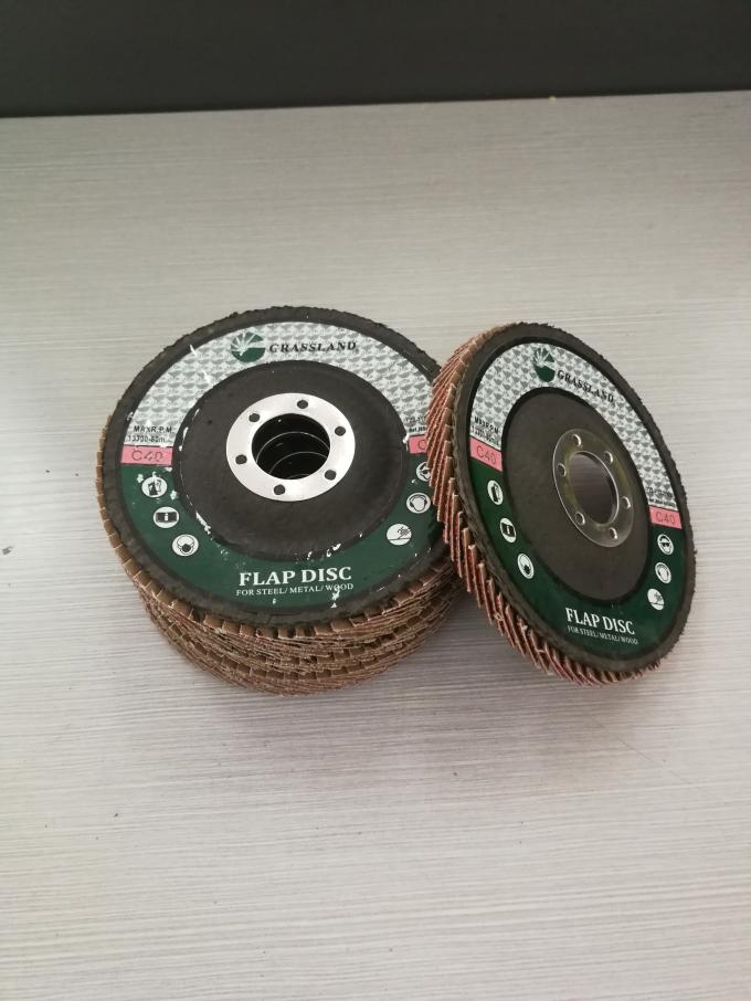 Marble Stone Grinding Polishing 115mm Silicon Carbide Flap Disc 2